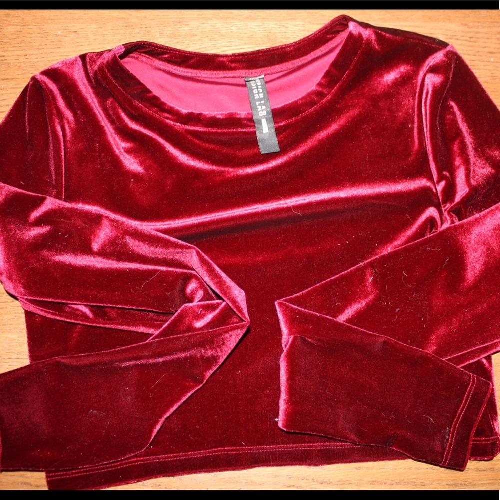 Velvet Design Lab Cropped Burgundy Top